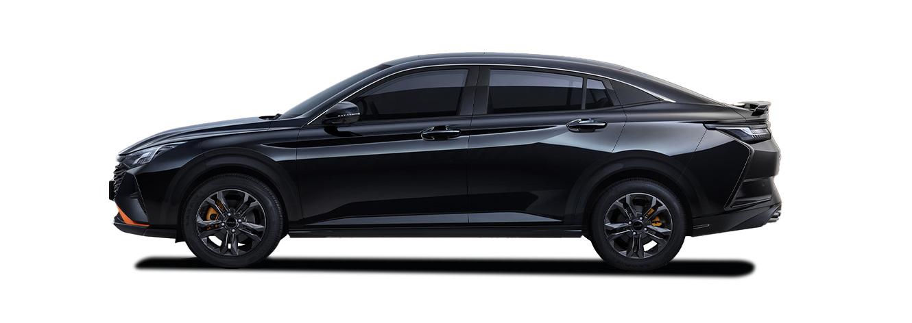 DONGFENG SHINE